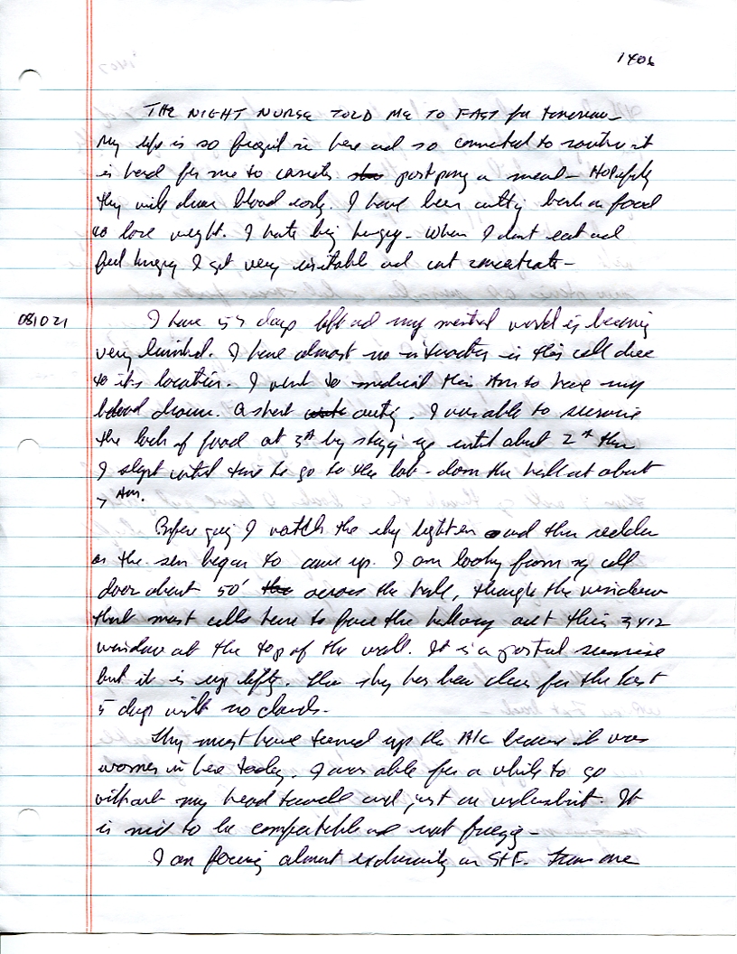 Dr John WorldPeace 2008 Prison Journal